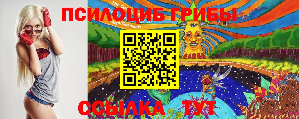 Галлюциногенные грибы GOLDEN TEACHER Елабуга