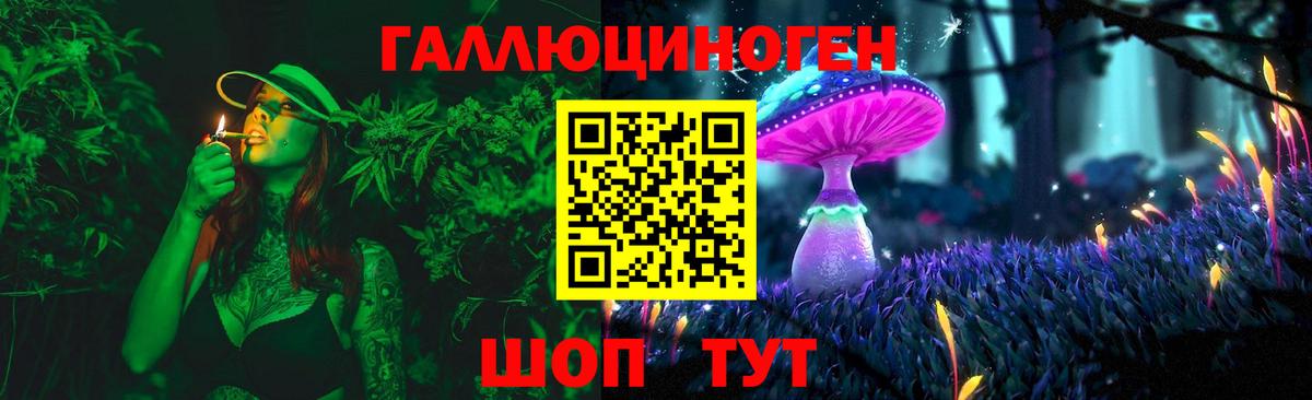 Елабуга  Галлюциногенные грибы MAGIC MUSHROOMS  Вход с VPN  Псилоцибиновые грибы мухоморы 